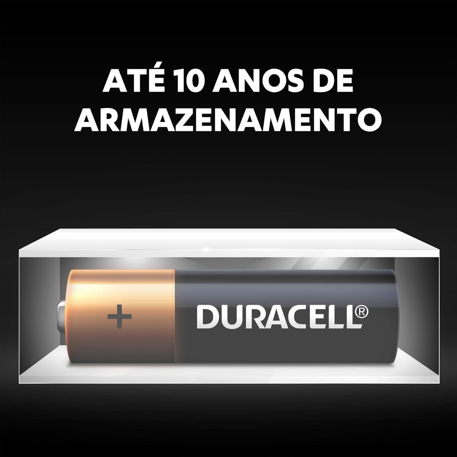 Pilha Alcalina Aa Pequena Duracell Com 2 UND Duracell